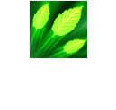 Lâmina de Folhas